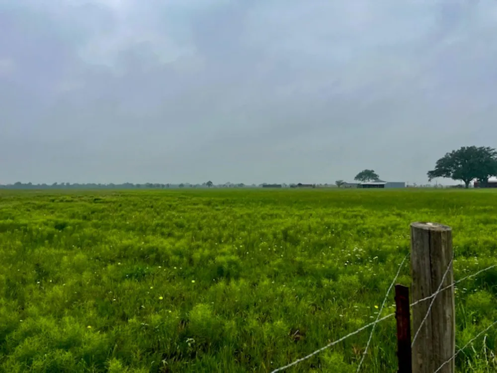 3575 Fm 1094 Road Sealy, TX 77474