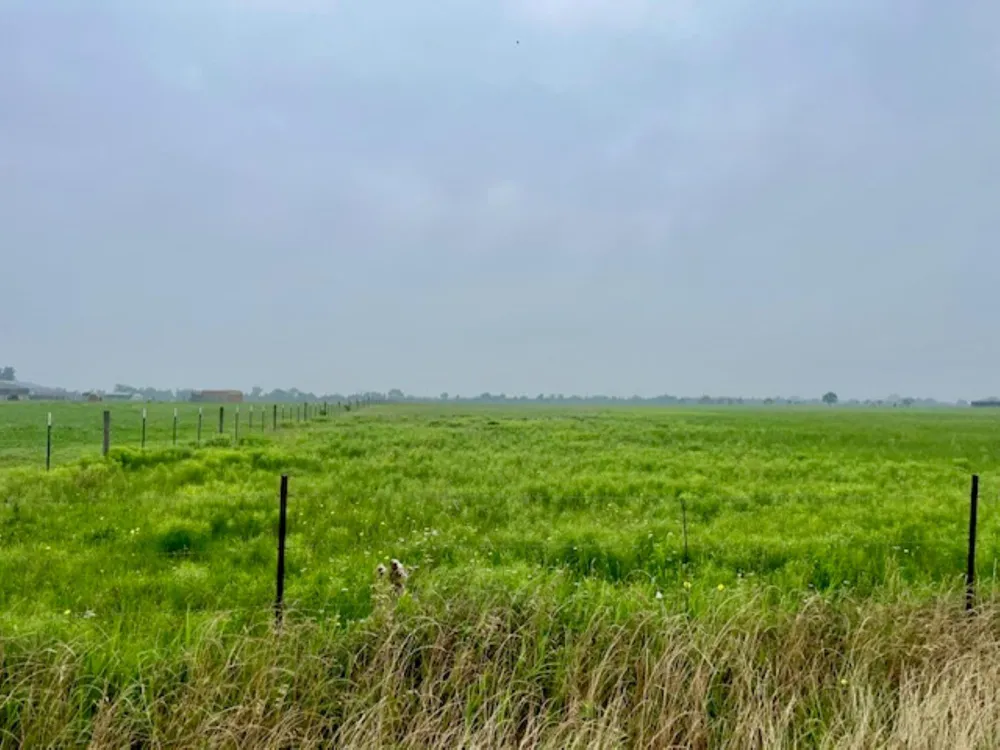 3575 Fm 1094 Road Sealy, TX 77474