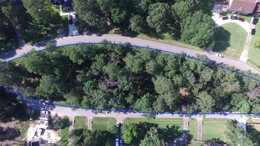 Athens Roman Forest, TX 77357