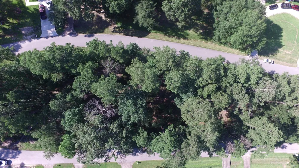Athens Roman Forest, TX 77357