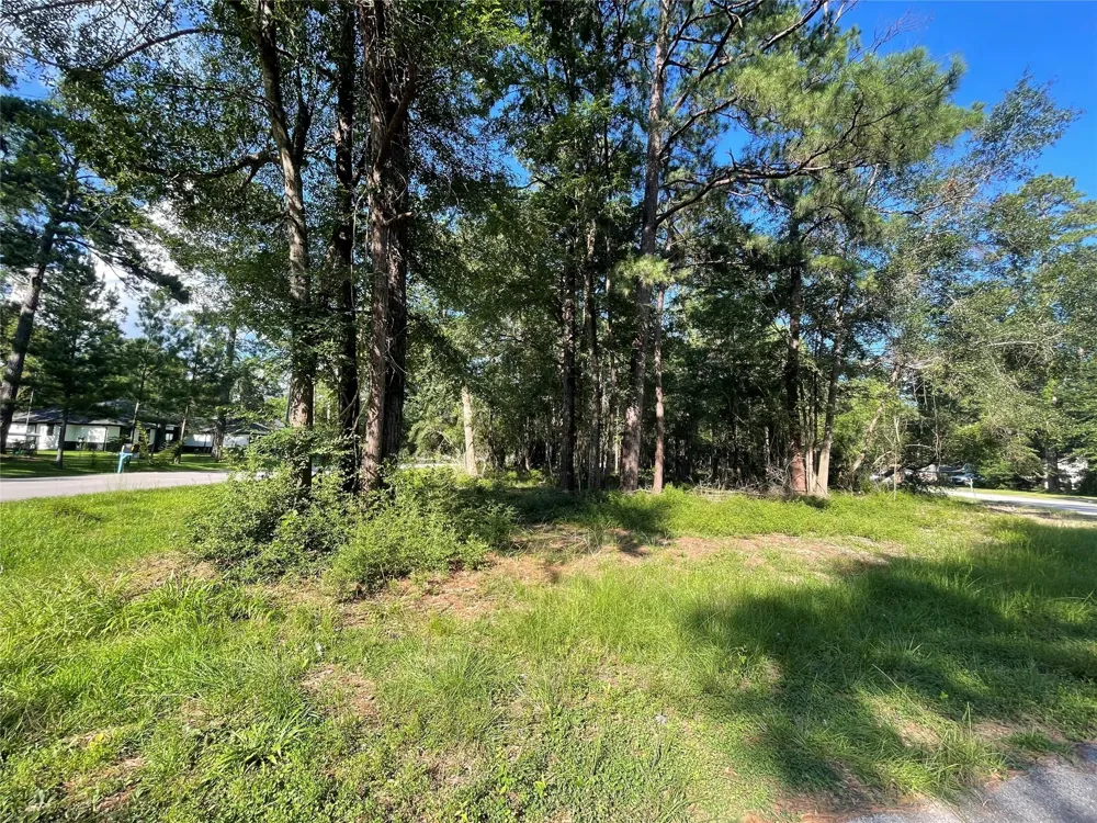 Athens Roman Forest, TX 77357