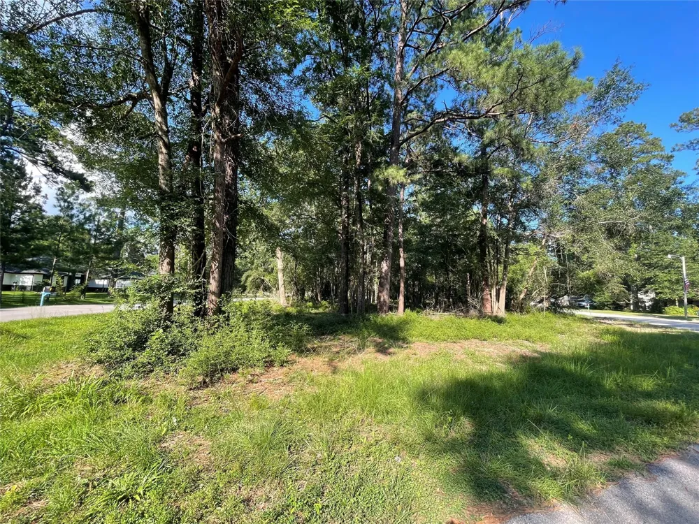 Athens Roman Forest, TX 77357