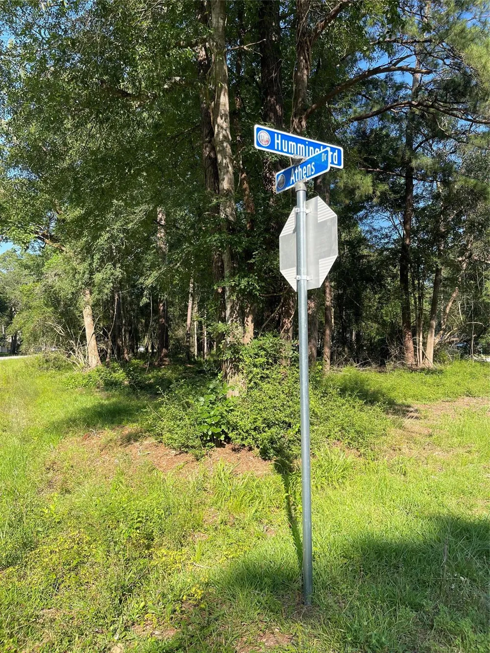 Athens Roman Forest, TX 77357