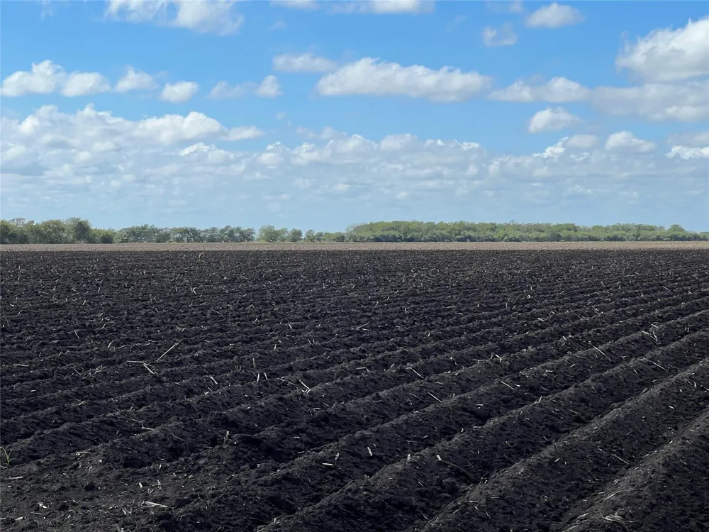 County Rd 459 El Campo, TX 77437