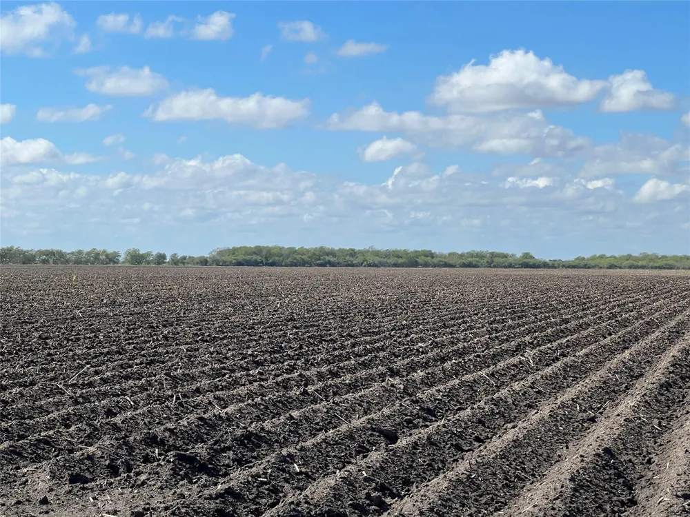 County Rd 459 El Campo, TX 77437