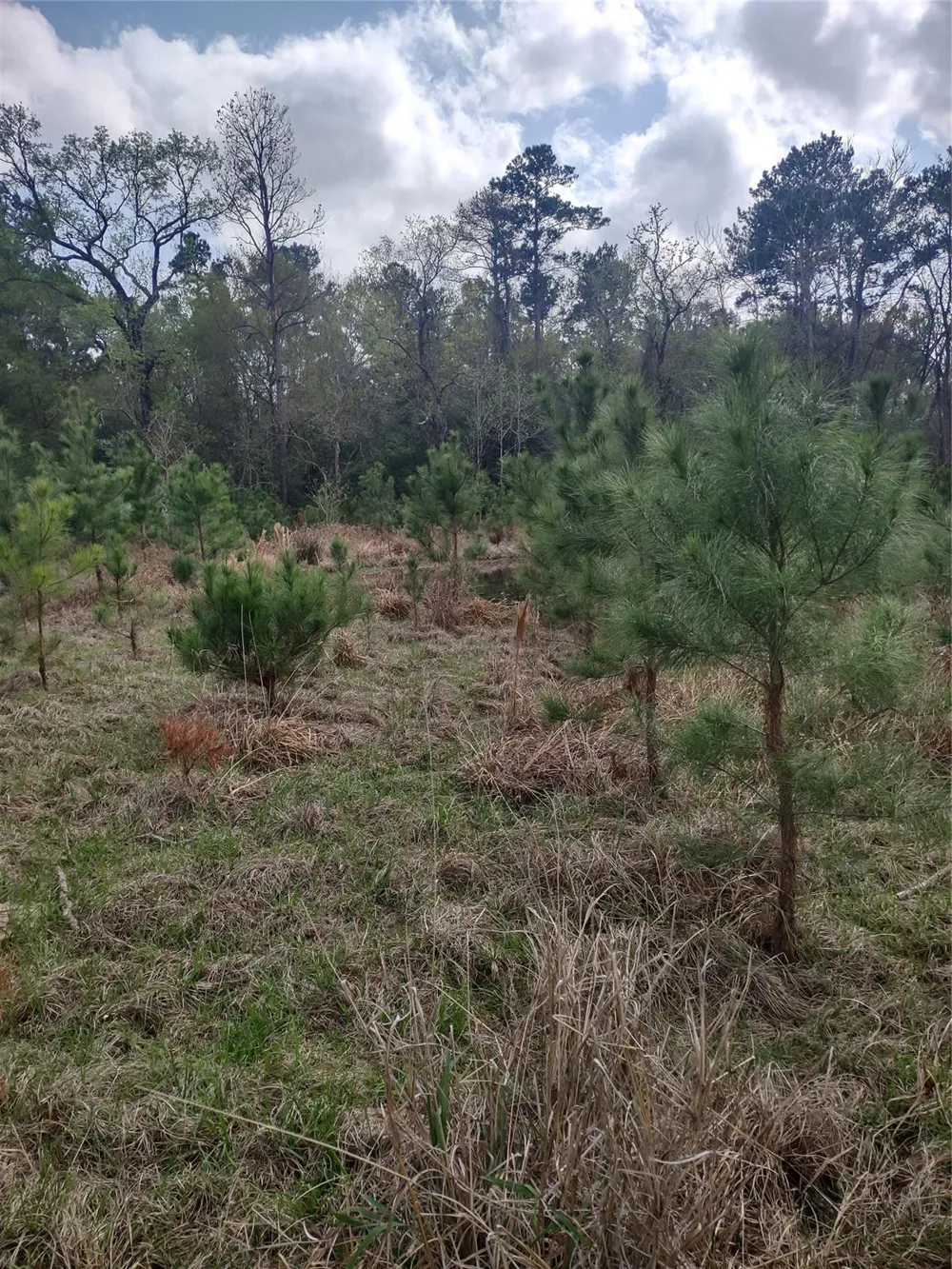111 Moonshine Hill/Will Clayton Parkway Road Houston, TX 77338
