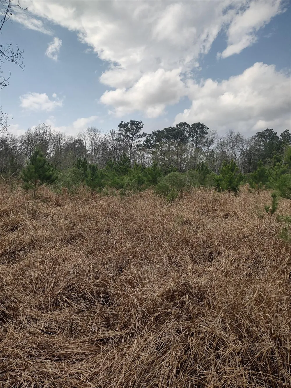 111 Moonshine Hill/Will Clayton Parkway Road Houston, TX 77338