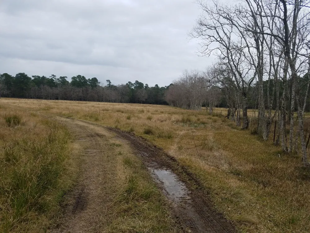 111 Moonshine Hill/Will Clayton Parkway Road Houston, TX 77338