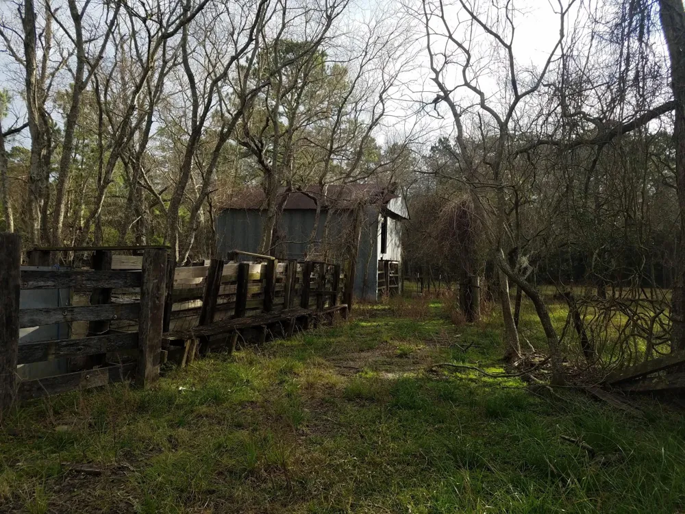 111 Moonshine Hill/Will Clayton Parkway Road Houston, TX 77338