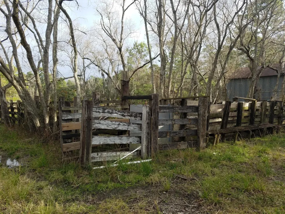 111 Moonshine Hill/Will Clayton Parkway Road Houston, TX 77338