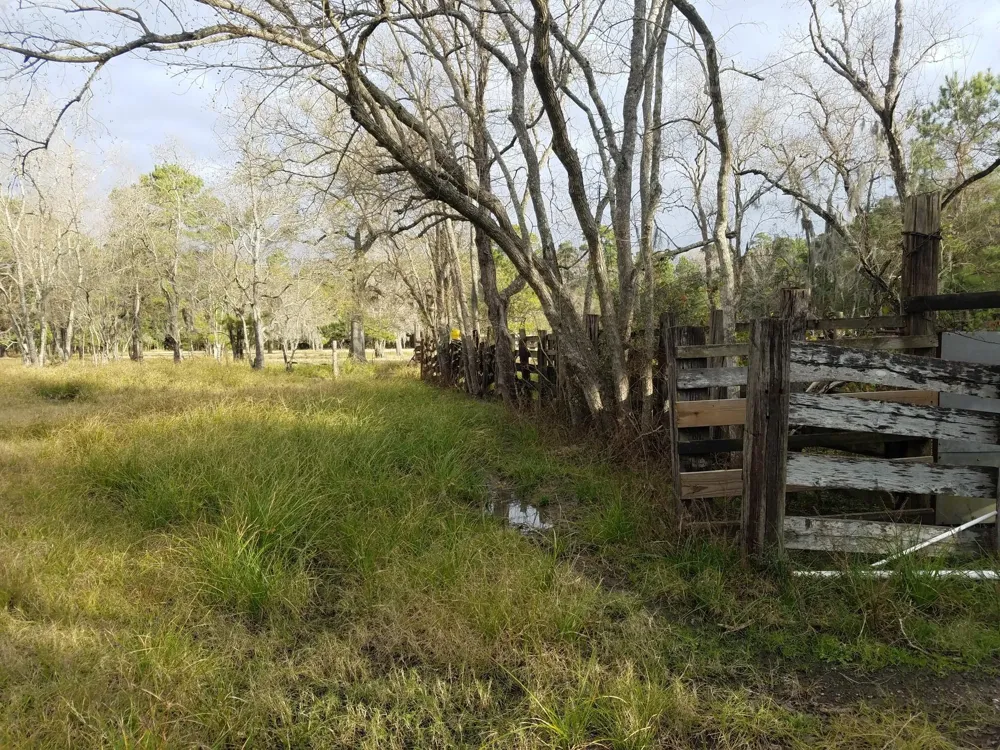 111 Moonshine Hill/Will Clayton Parkway Road Houston, TX 77338