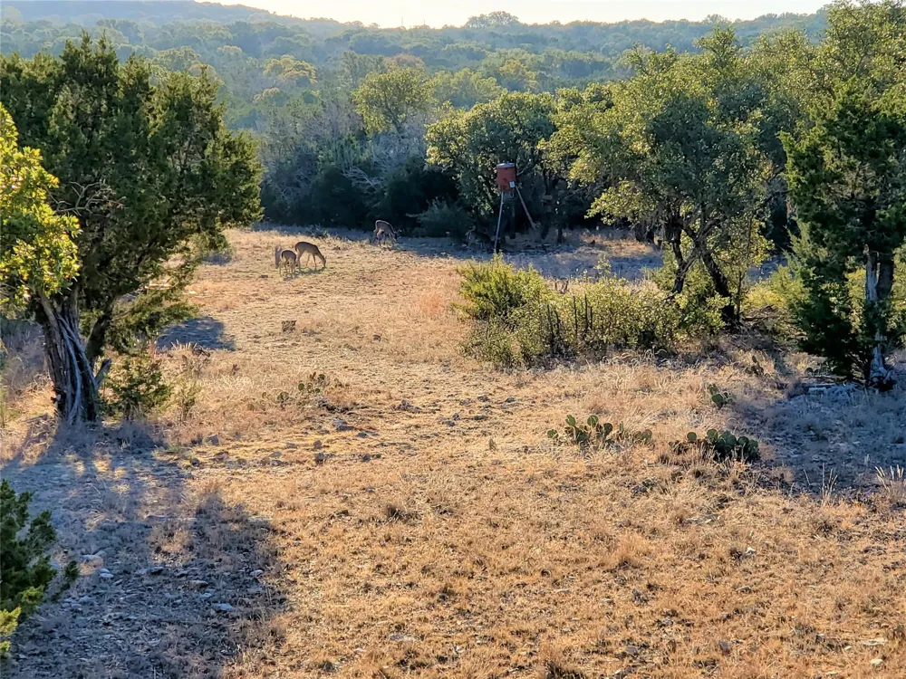 989 Cedar Ridge Road Junction, TX 76849