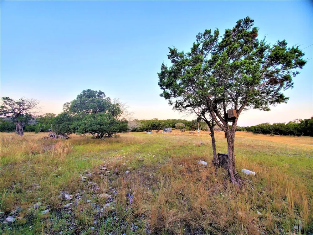 989 Cedar Ridge Road Junction, TX 76849