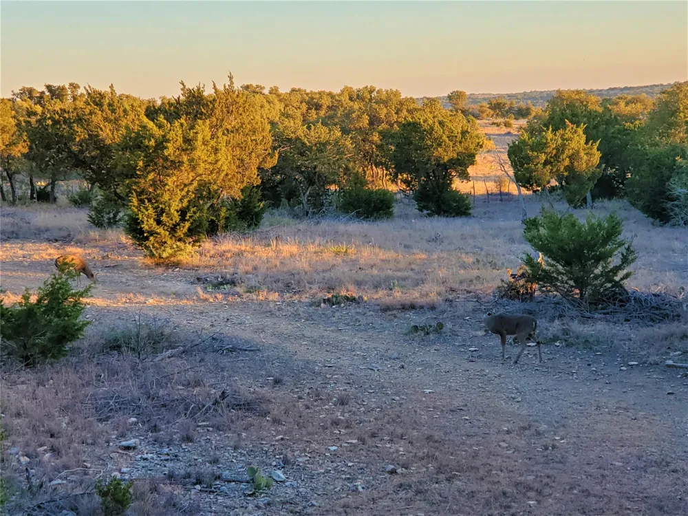 989 Cedar Ridge Road Junction, TX 76849