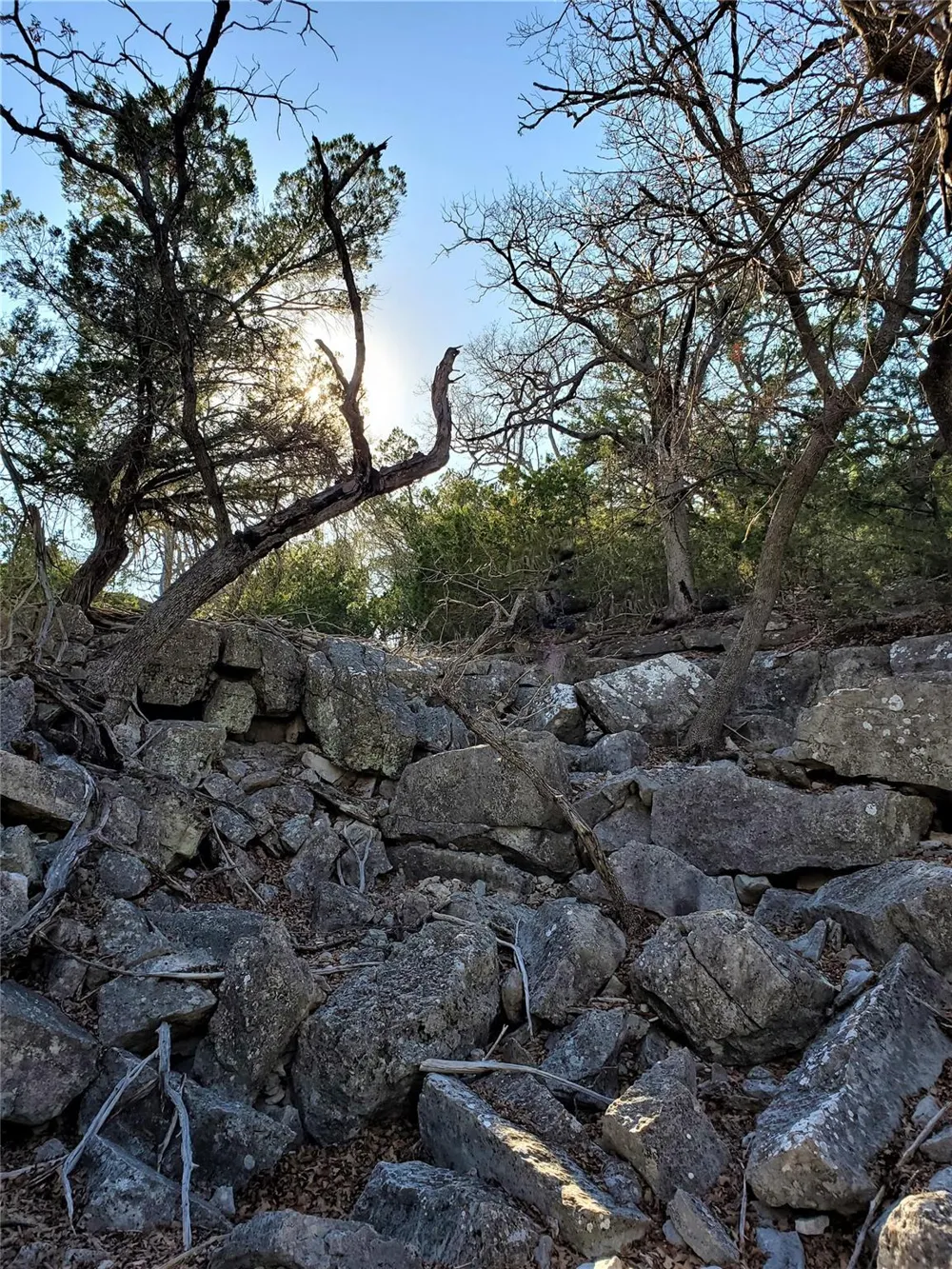 989 Cedar Ridge Road Junction, TX 76849
