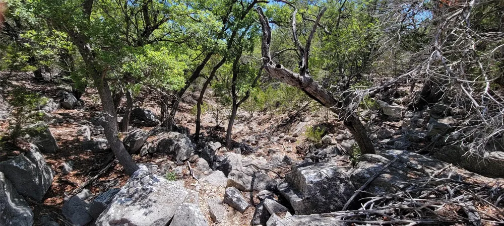989 Cedar Ridge Road Junction, TX 76849