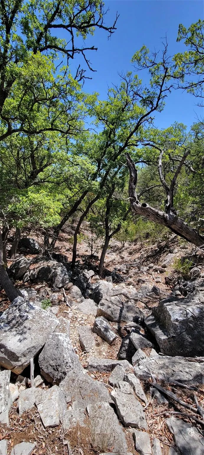 989 Cedar Ridge Road Junction, TX 76849