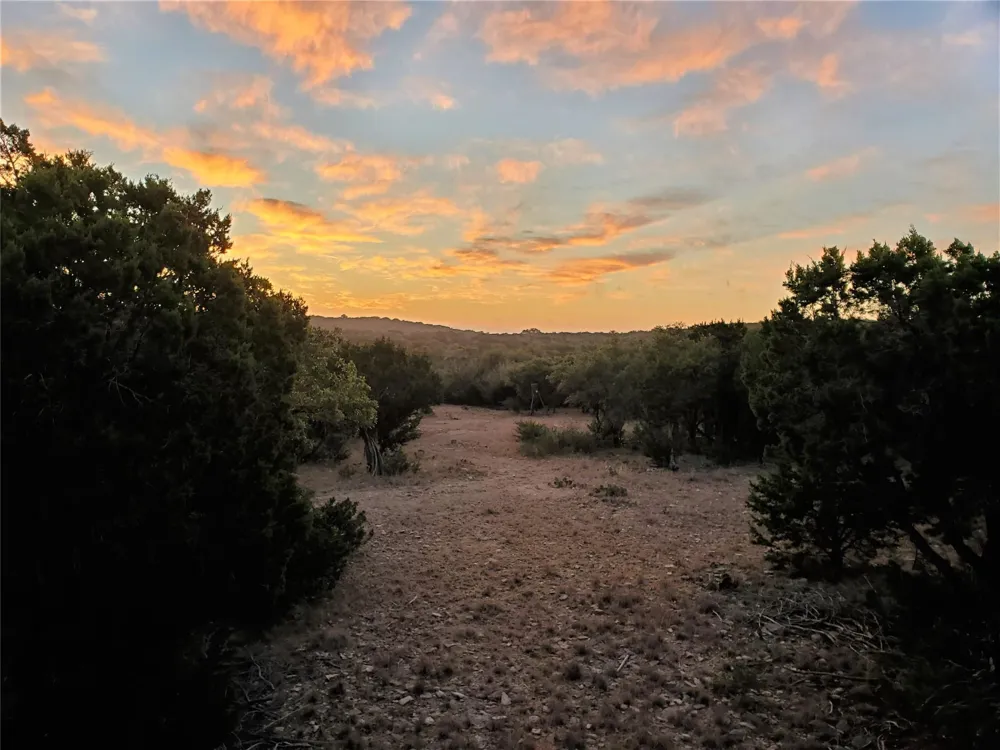 989 Cedar Ridge Road Junction, TX 76849