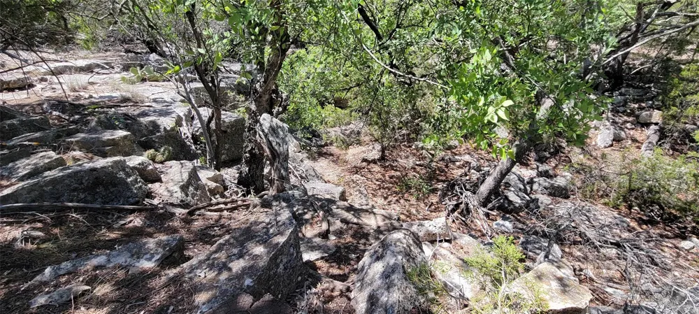989 Cedar Ridge Road Junction, TX 76849