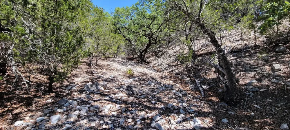 989 Cedar Ridge Road Junction, TX 76849