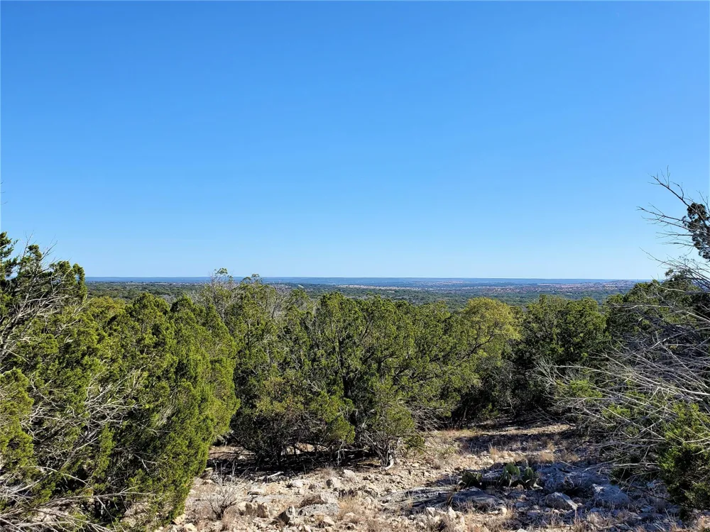 989 Cedar Ridge Road Junction, TX 76849