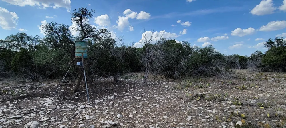 989 Cedar Ridge Road Junction, TX 76849