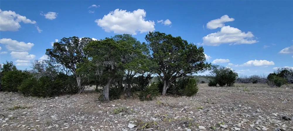 989 Cedar Ridge Road Junction, TX 76849
