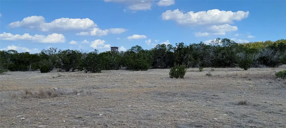989 Cedar Ridge Road Junction, TX 76849