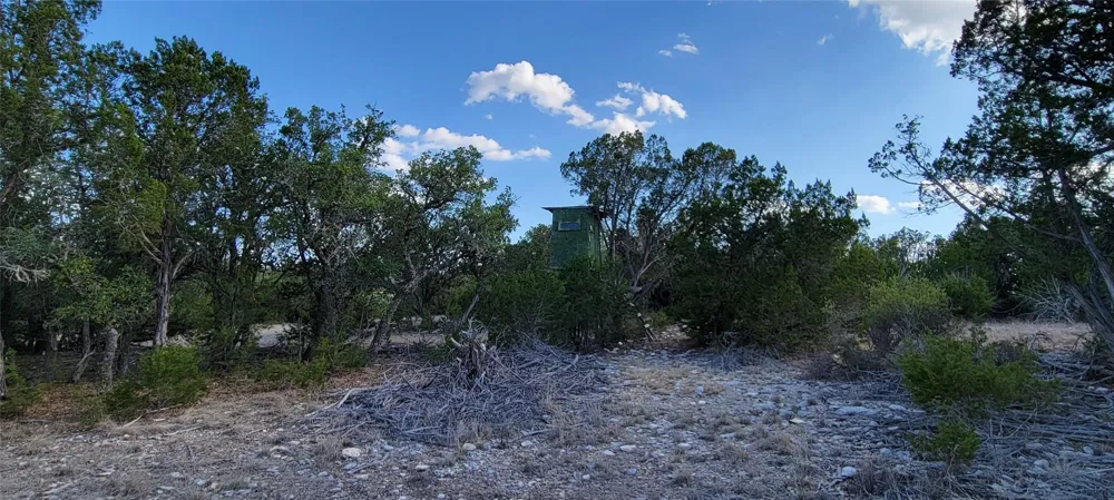 989 Cedar Ridge Road Junction, TX 76849