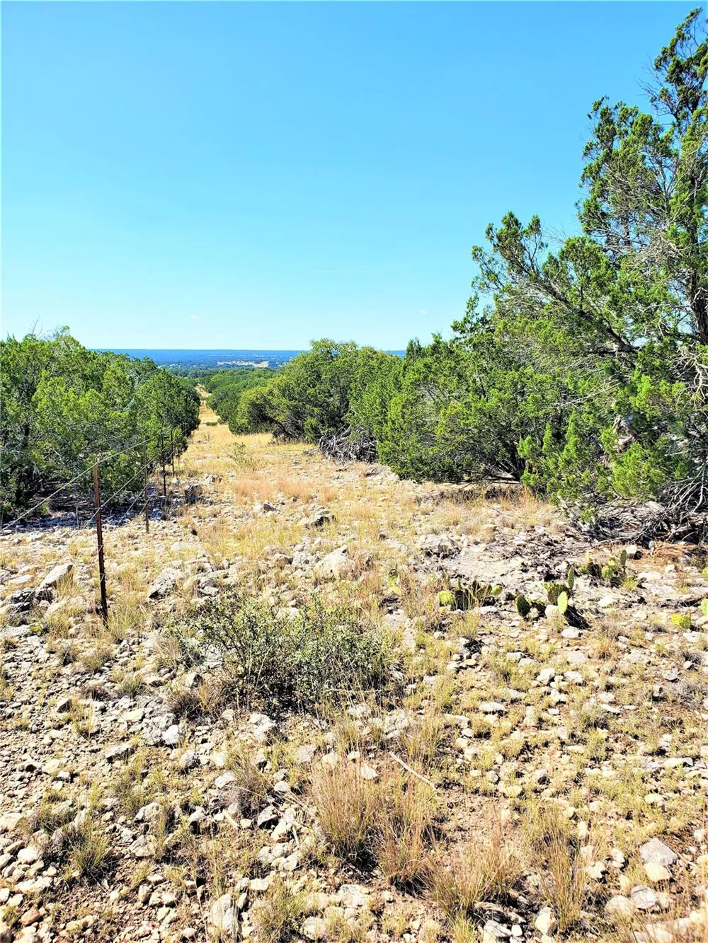 989 Cedar Ridge Road Junction, TX 76849