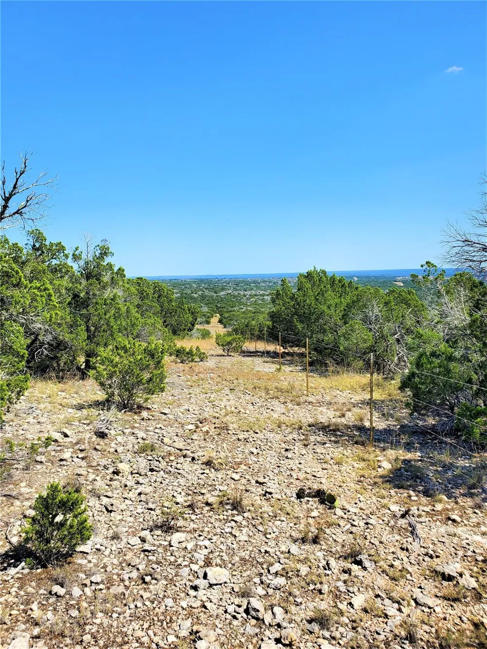 989 Cedar Ridge Road Junction, TX 76849