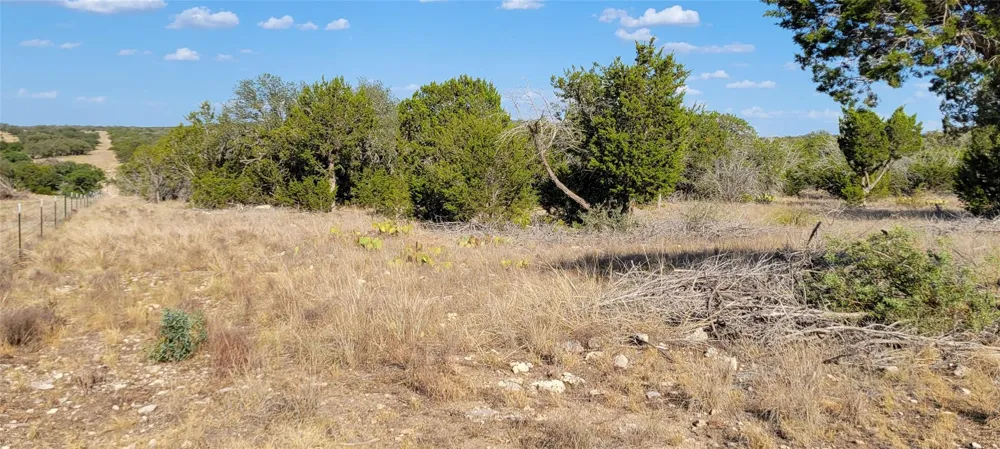 989 Cedar Ridge Road Junction, TX 76849