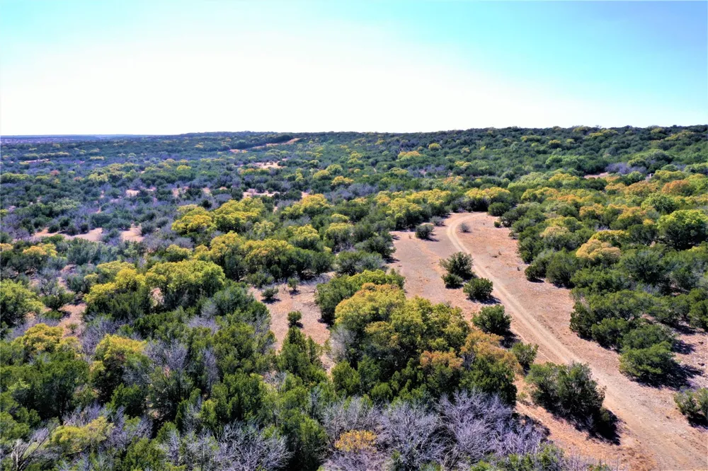 989 Cedar Ridge Road Junction, TX 76849
