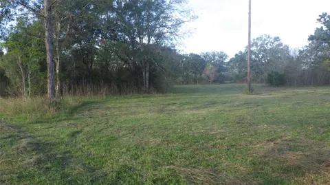 319 County Road 319