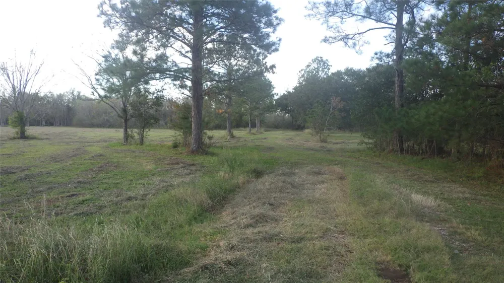 319 County Road 319 Brazoria, TX 77422