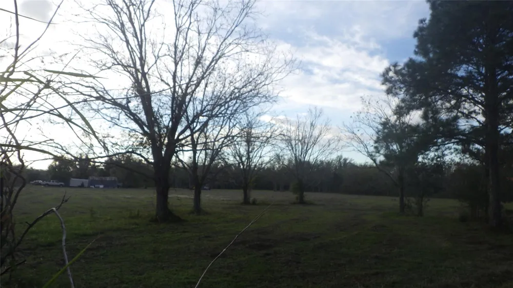 319 County Road 319 Brazoria, TX 77422