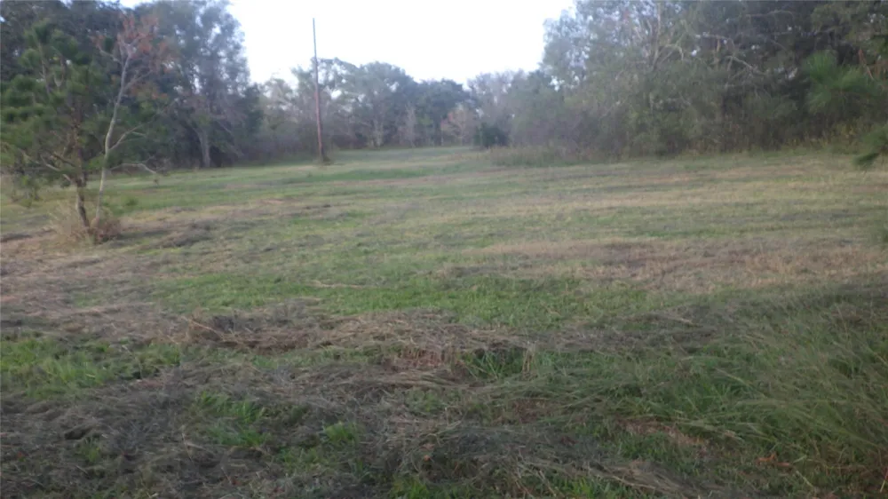319 County Road 319 Brazoria, TX 77422