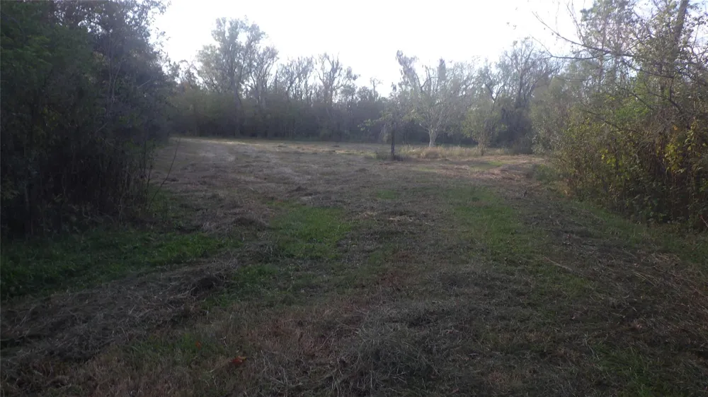 319 County Road 319 Brazoria, TX 77422