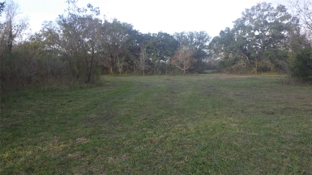 319 County Road 319 Brazoria, TX 77422
