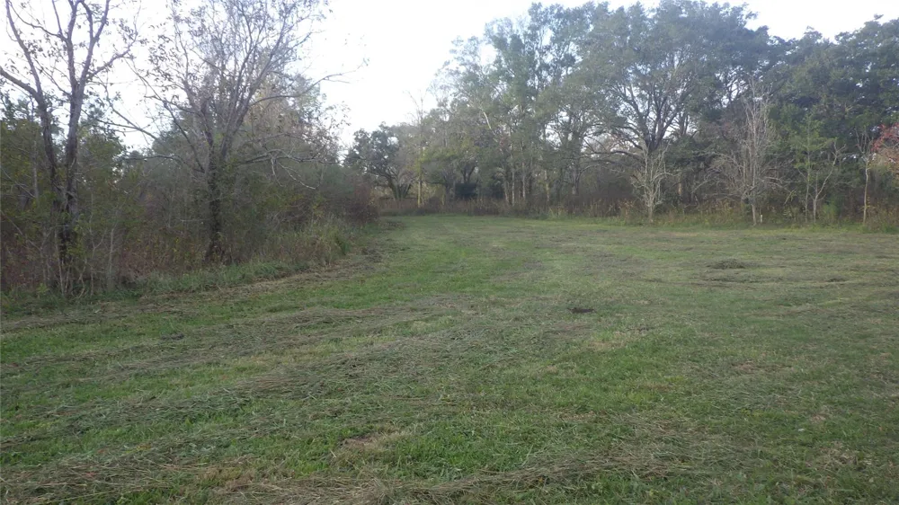 319 County Road 319 Brazoria, TX 77422