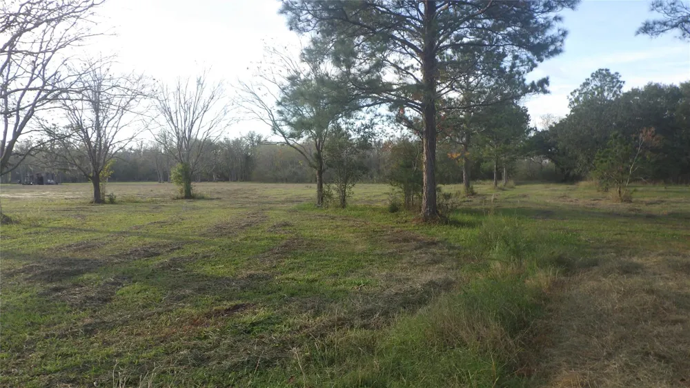 319 County Road 319 Brazoria, TX 77422