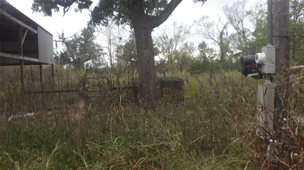 319 County Road 319 Brazoria, TX 77422