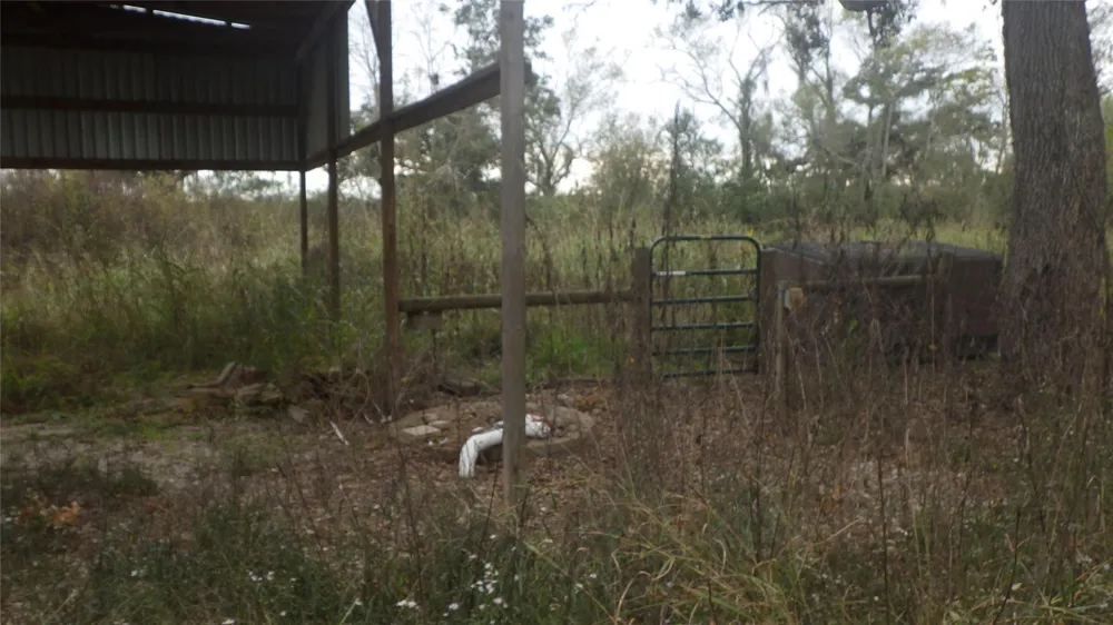 319 County Road 319 Brazoria, TX 77422