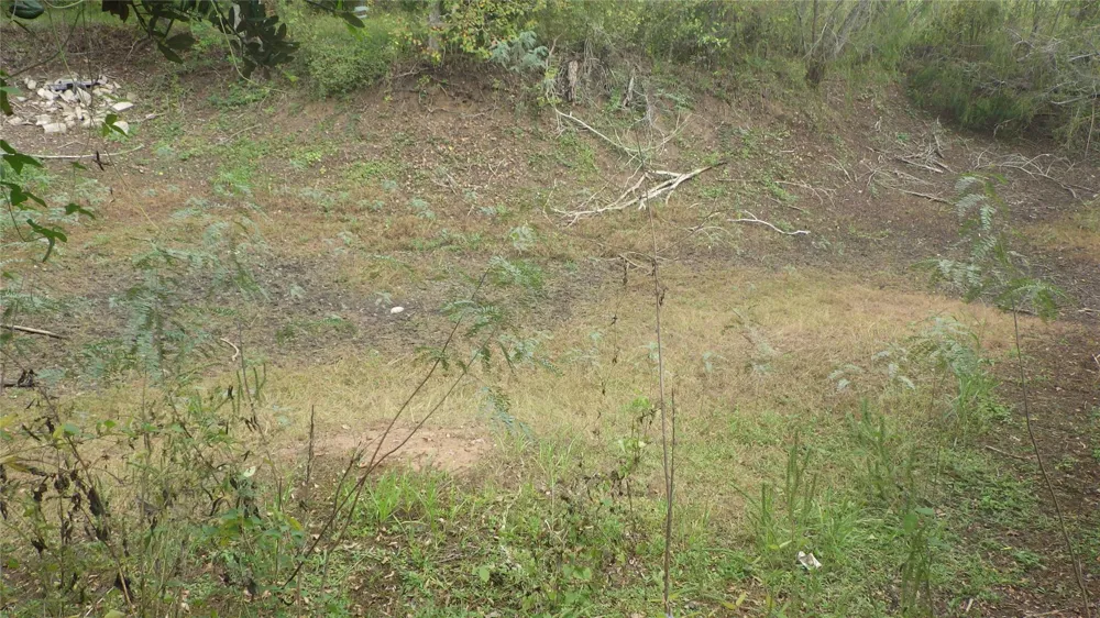 319 County Road 319 Brazoria, TX 77422