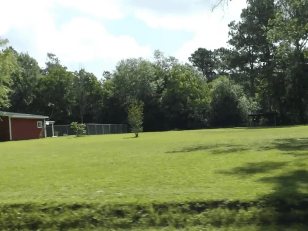 6307 Johnson Lane Lumberton, TX 77657