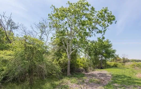 2 Farm Market 530 Edna, TX 77957