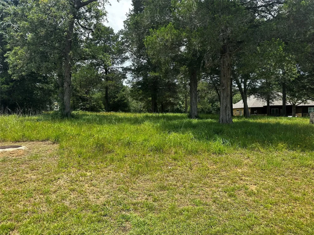 N Falls Dr New Ulm, TX 78950