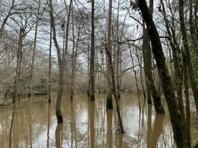 Cr 449- Socagee Creek Road Carthage, TX 75633