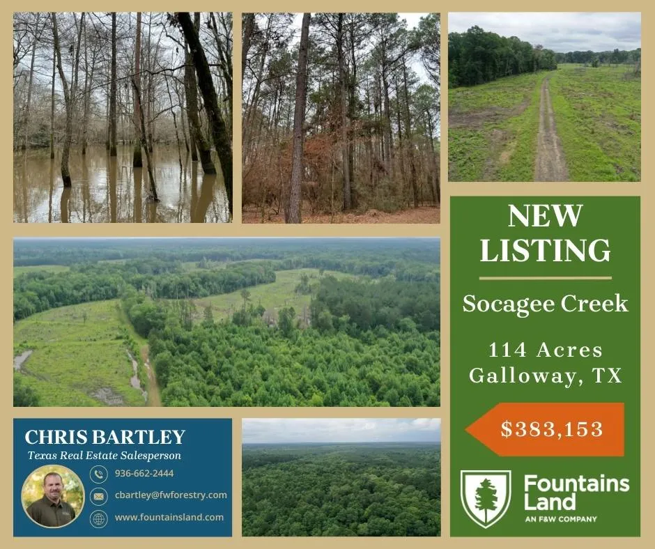 Cr 449- Socagee Creek Road Carthage, TX 75633