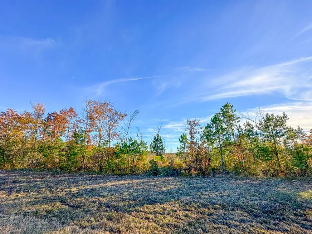 Fm 2120 Bagwell, TX 75426